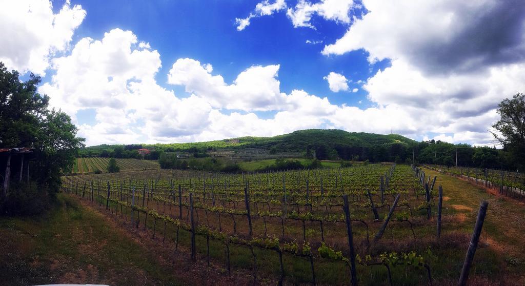 فيلا أريتسوفي Agriturismo La Cella المظهر الخارجي الصورة