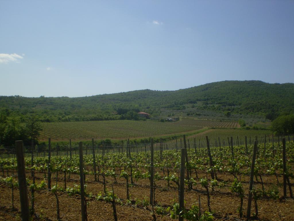 فيلا أريتسوفي Agriturismo La Cella المظهر الخارجي الصورة